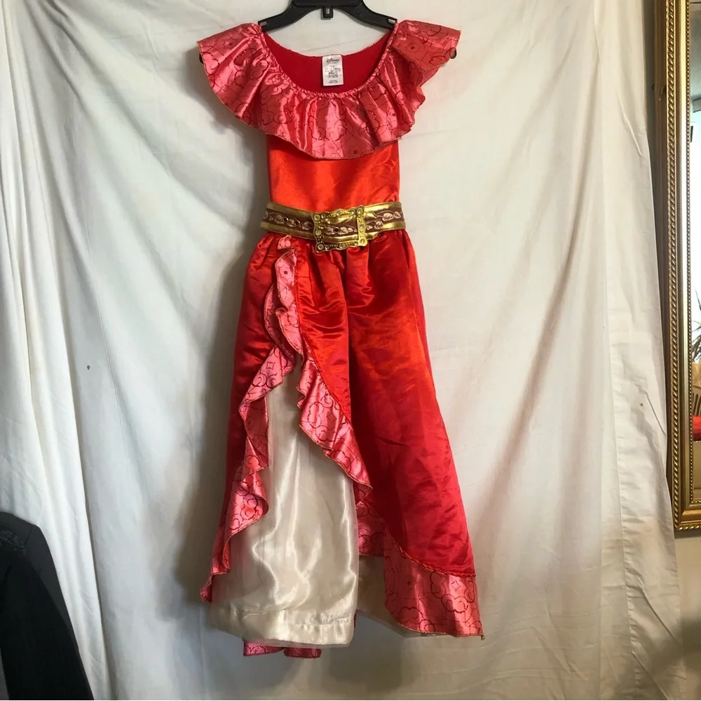Disney Little Girl Costume.